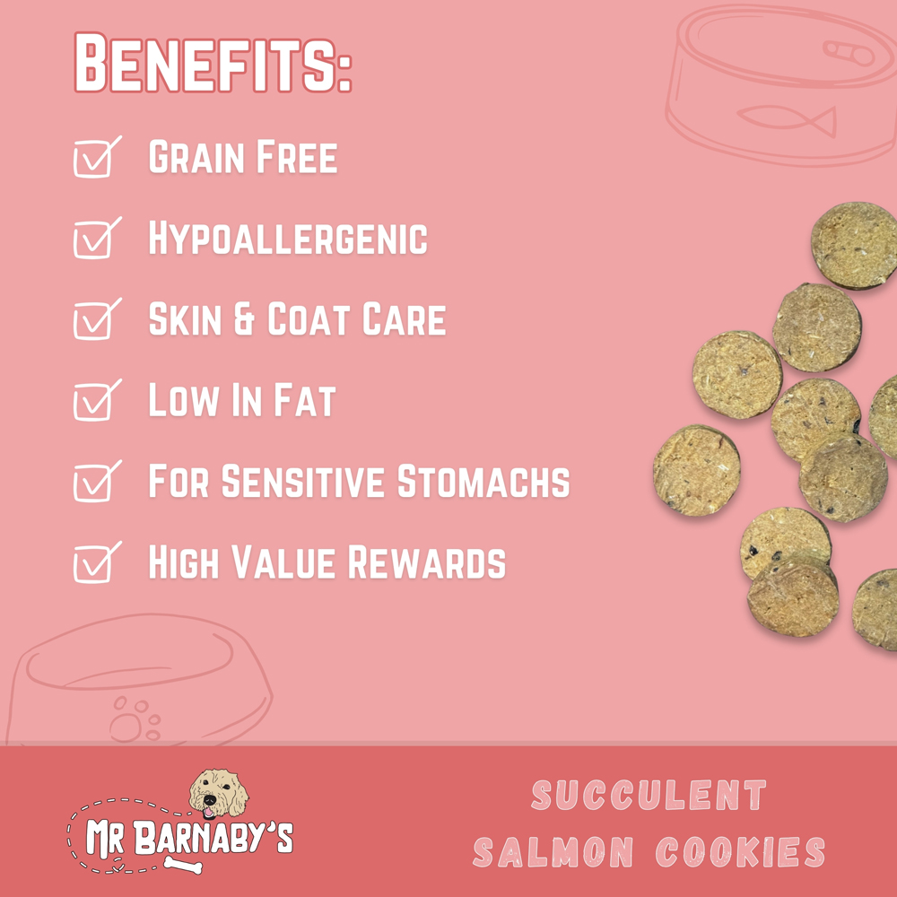 Mr Barnaby's Succulent Salmon Cookies Grain-Free Hypoallergenic Dog Treats 80g 2 Pack Image 4