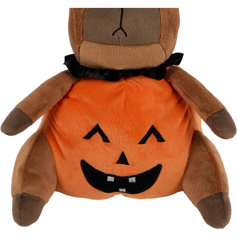 Capybara Pumpkin Plush Toy Image 5