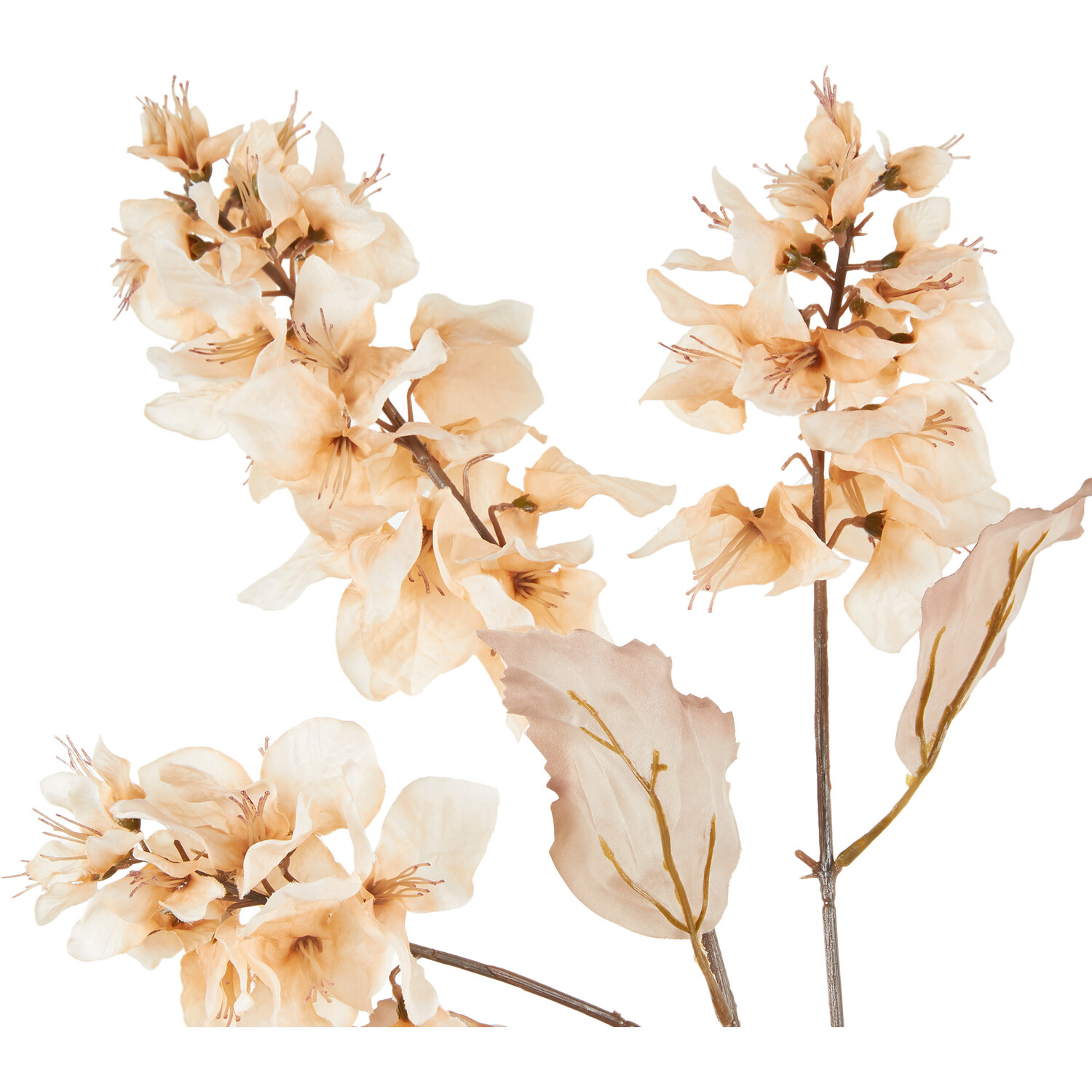 100cm Bougainvillea Stem - Cream Image 2
