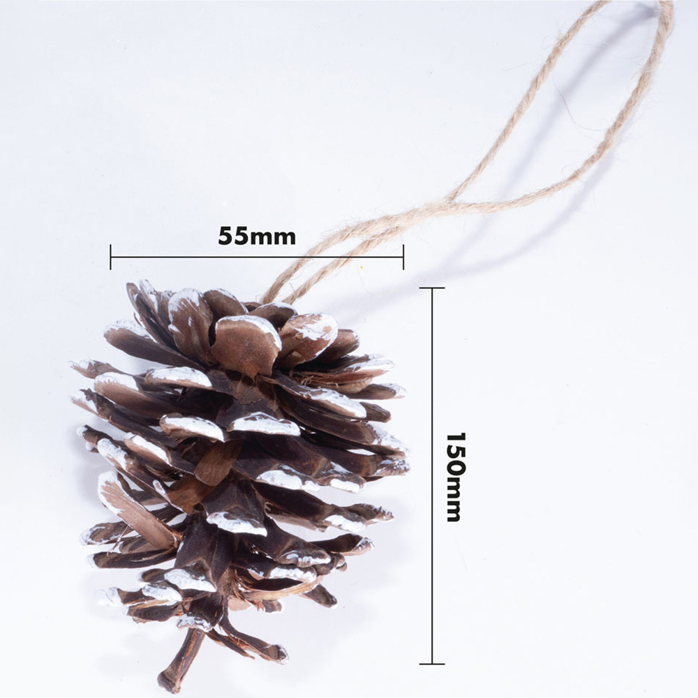 St Helens White Tipped Hanging Pinecone Ornaments 6 Pack Image 8