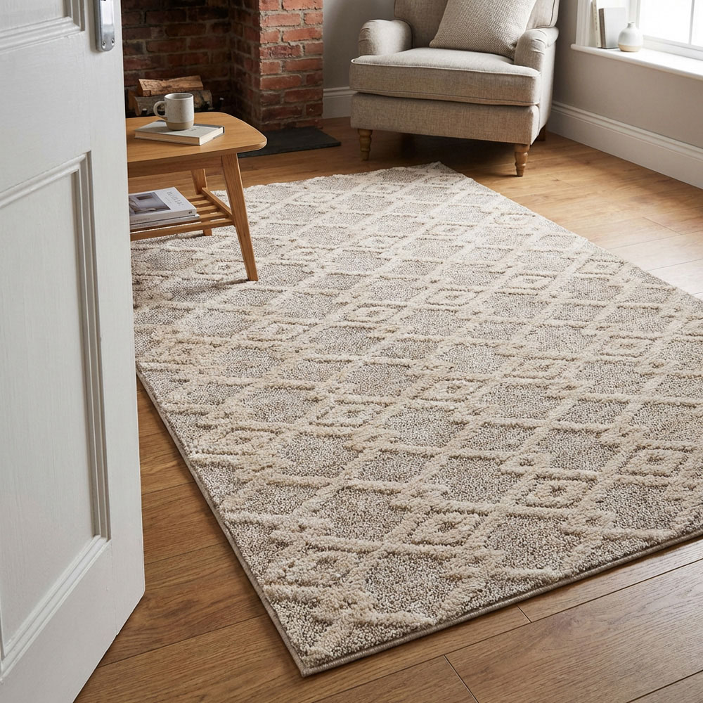 Apollo Geometric Patterned Rug  - Neutral / 120cm Image 4