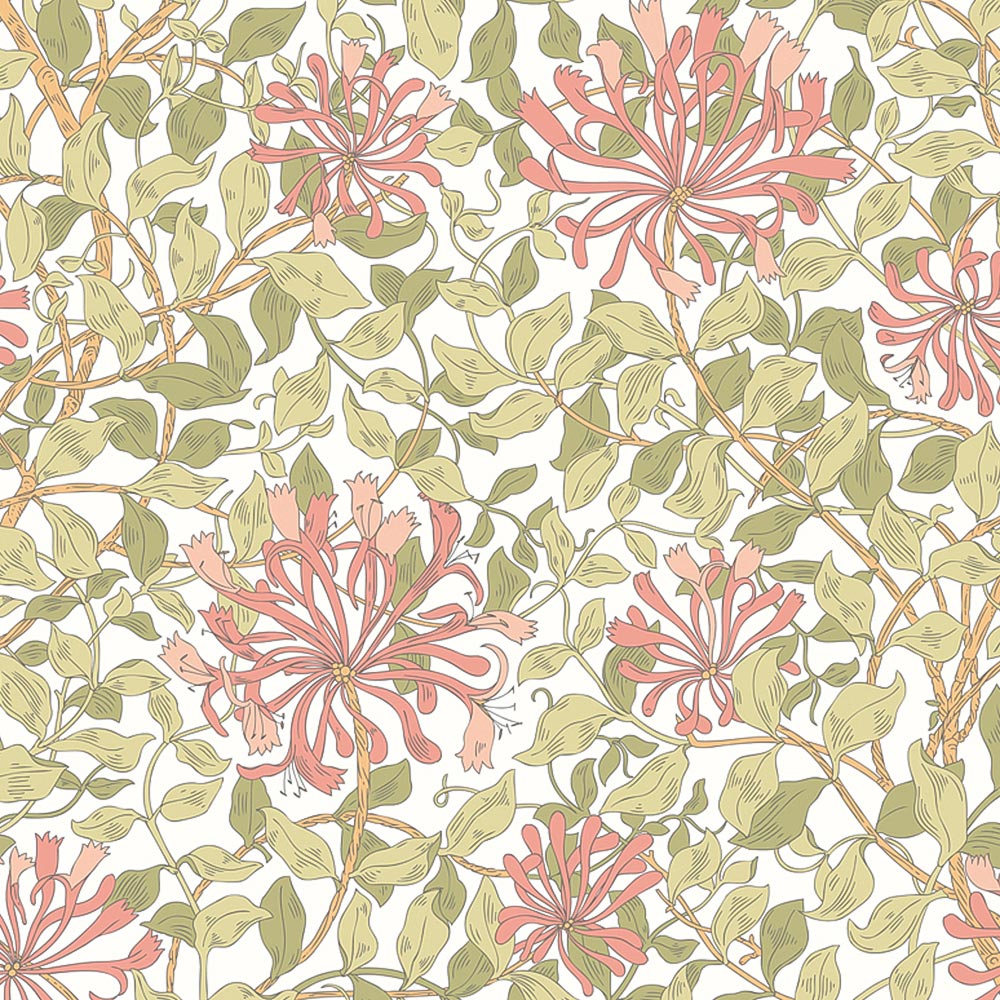 Origin Murals Honeysuckle Pink Wall Mural Image 2
