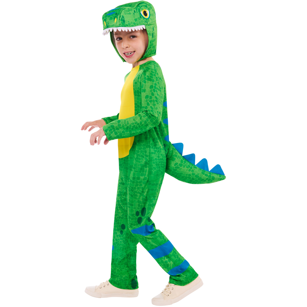 Rubies Friendly Dinosaur Age 7 to 8 Years Image 4