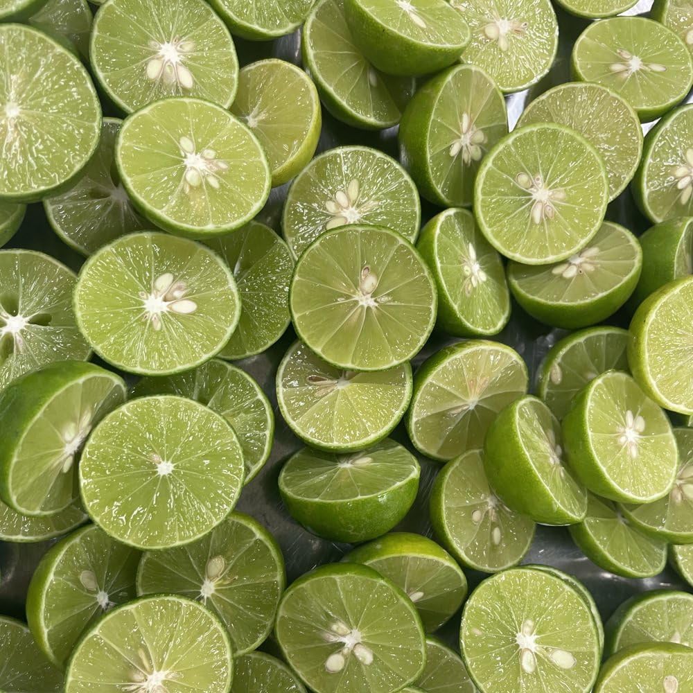 Thompson and Morgan Citrus Tree Key Lime Citrus Aurantifolia Potted Plant 5L Image 3
