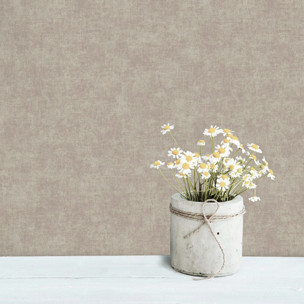 Grandeco Alba Plaster Plain Neutral Beige Wallpaper Image 3