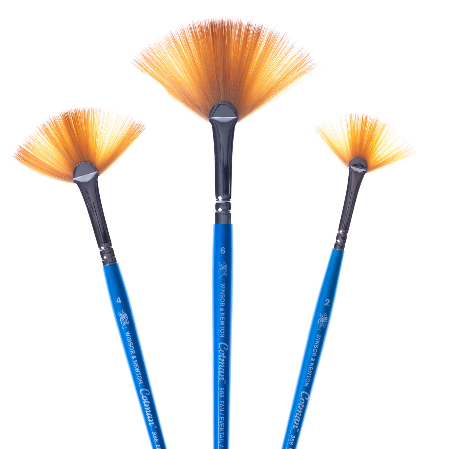 Winsor and Newton Cotman Watercolour Series 888 Fan Brush - No. 2 (short handle) Image