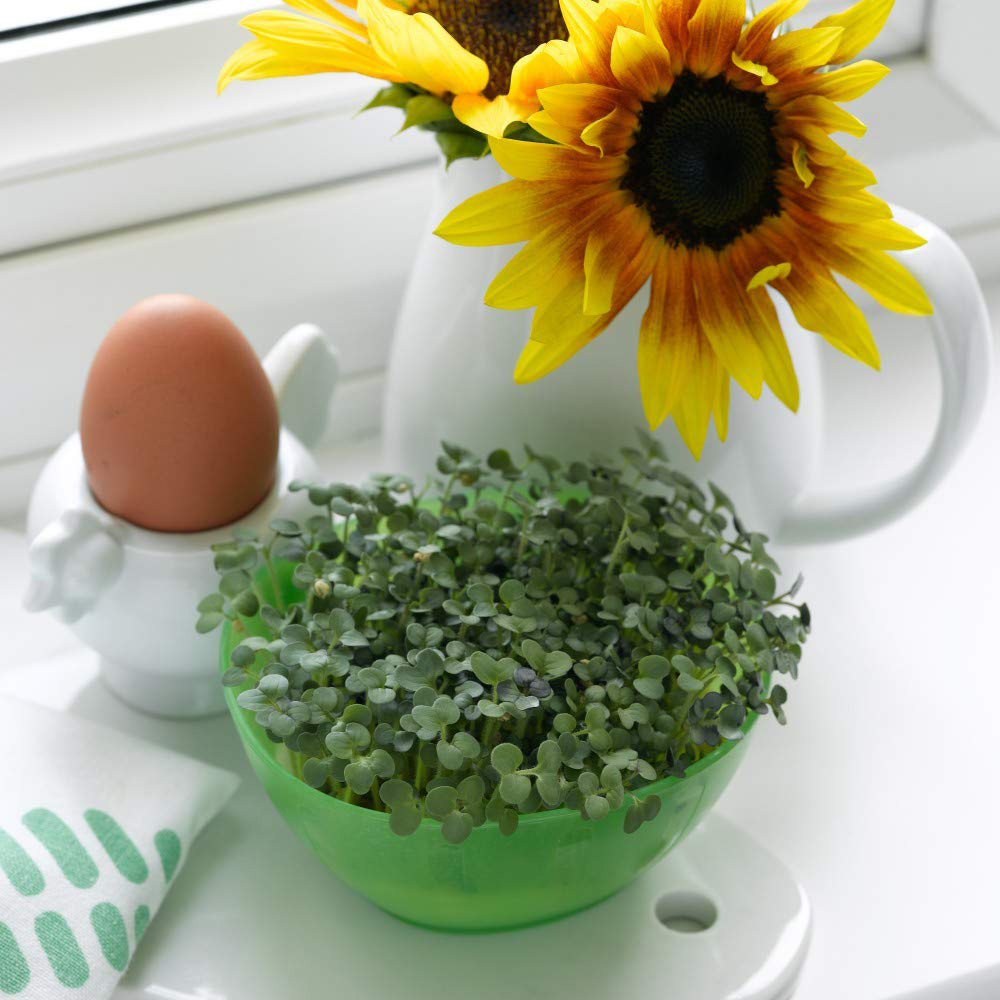Thompson and Morgan Mustard Cress Seeds Image 2