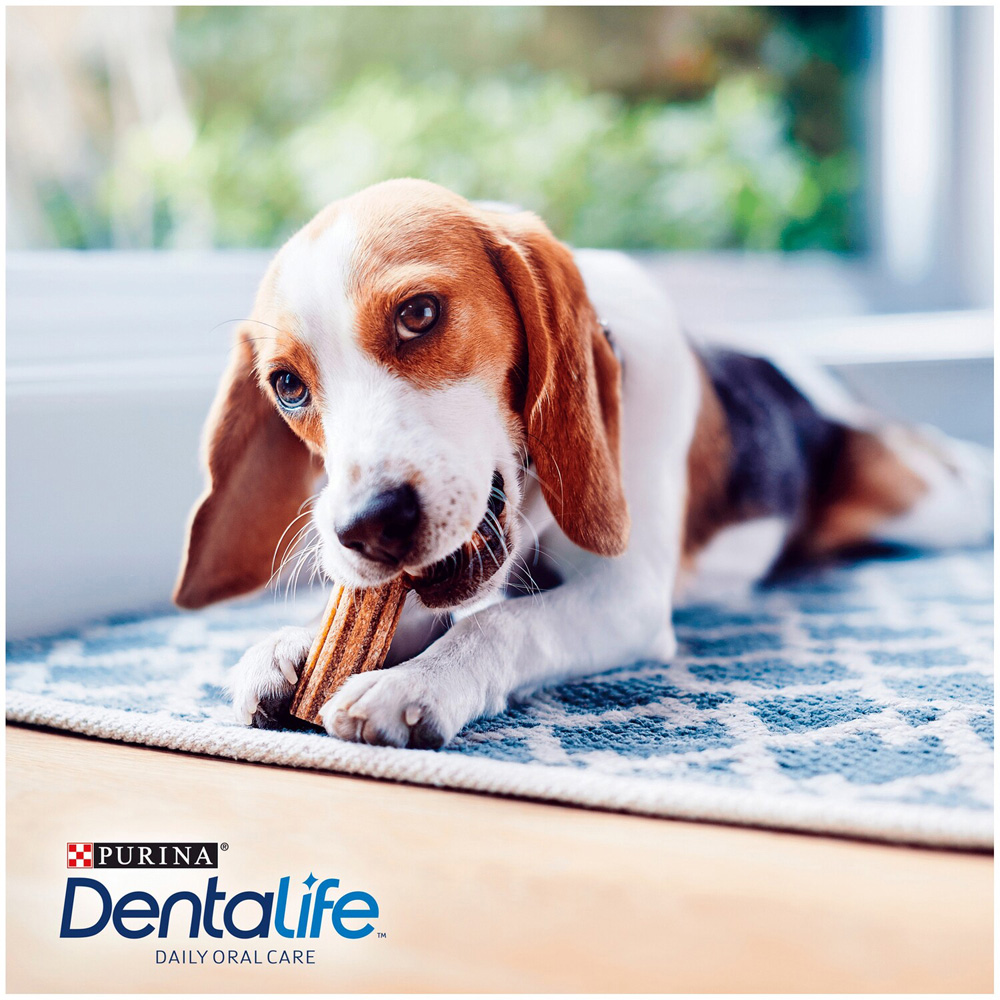 Purina Dentlife Small Adult Dog Dental Sticks 21 Pack Image 5