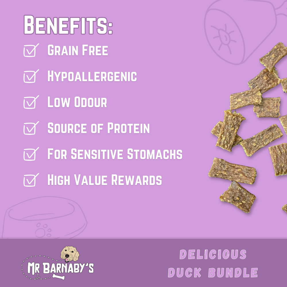 Mr Barnaby's Delicious Duck Dog Treats Bundle 4 Pack Image 4