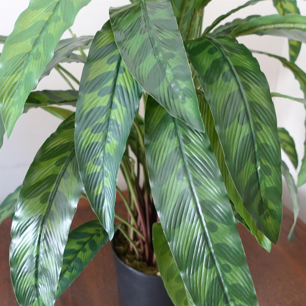 Leaf Green Variegated Calathea Artificial Plant Pot 1.9ft Image 3