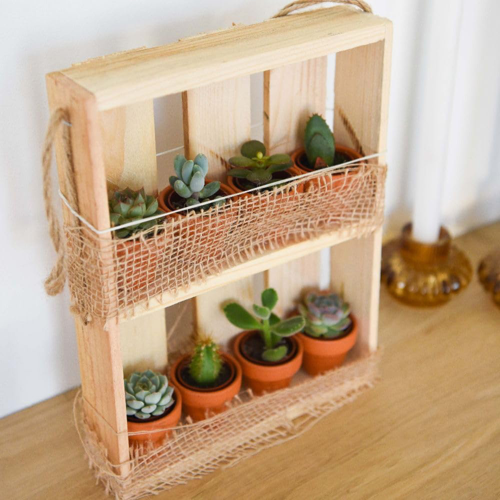 Thompson and Morgan 8 Succulent Plant Hanging Wooden Shelf 2 Pack Image 1