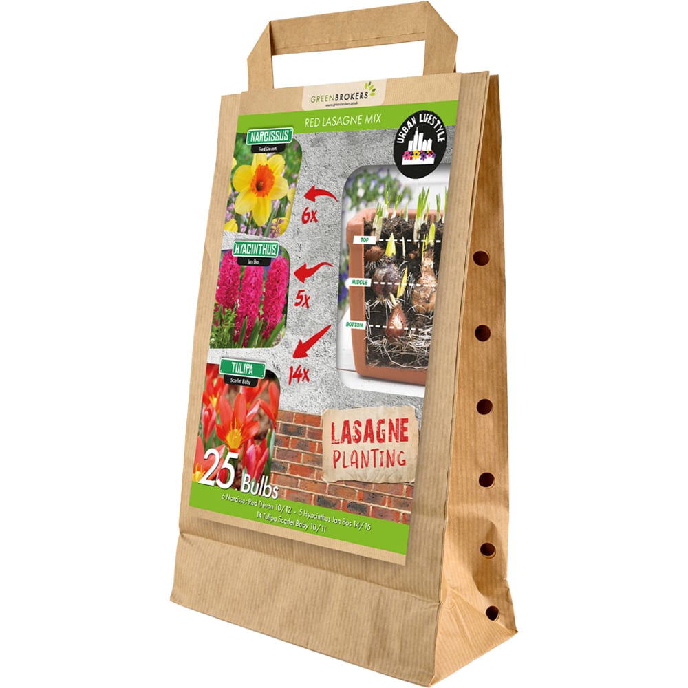 GreenBrokers Red Lasagne Bee Friendly Mixed Spring Planting Bulb 25 Pack Image 1