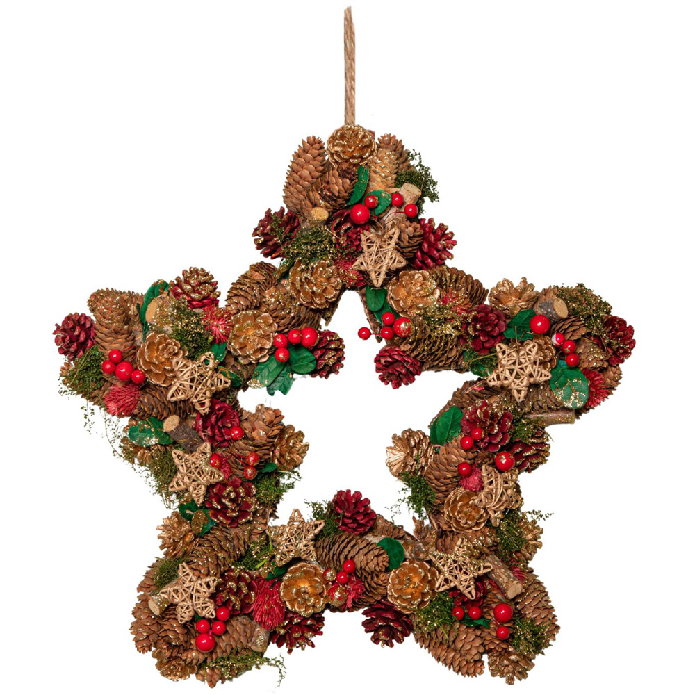 Samuel Alexander Red Star Wreath with Berries and Pinecones 35cm Image 1