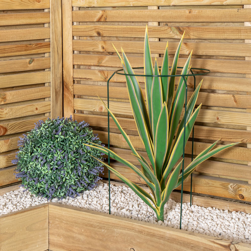 Samuel Alexander Urban Metal Herbaceous Plant Support Ring 30 x 50cm Image 3