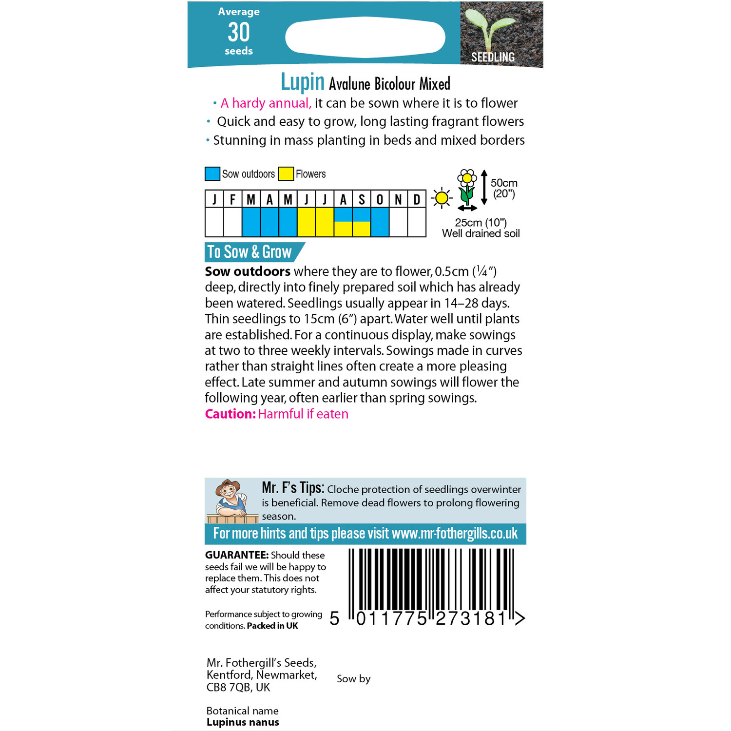 Lupin Avalune Bicolour Mix Seeds Image 2