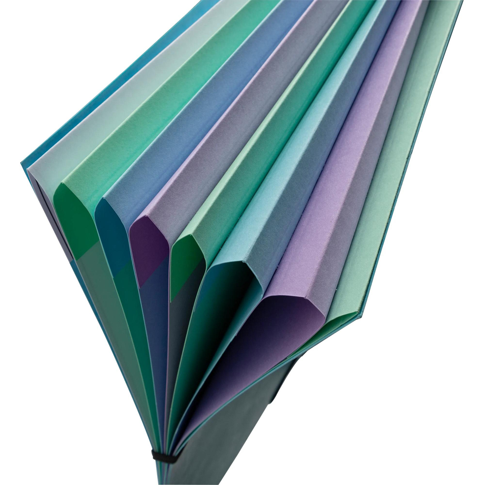 Exacompta Aquarel Harmonika 7 Section Assorted colours A4 Multi Part File 8 Pack Image 7