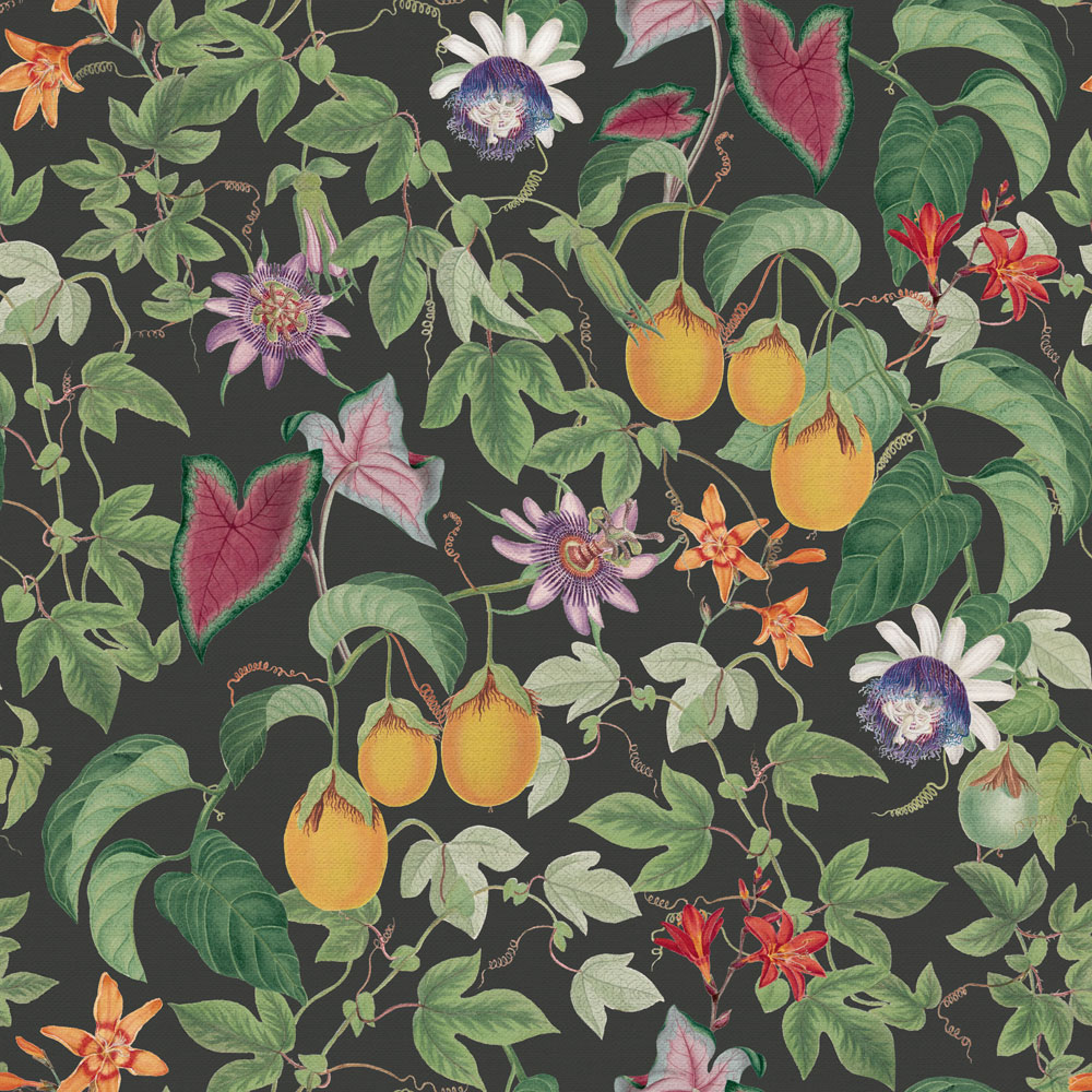 RHS Citrus and Vine Black Wallpaper Image 1