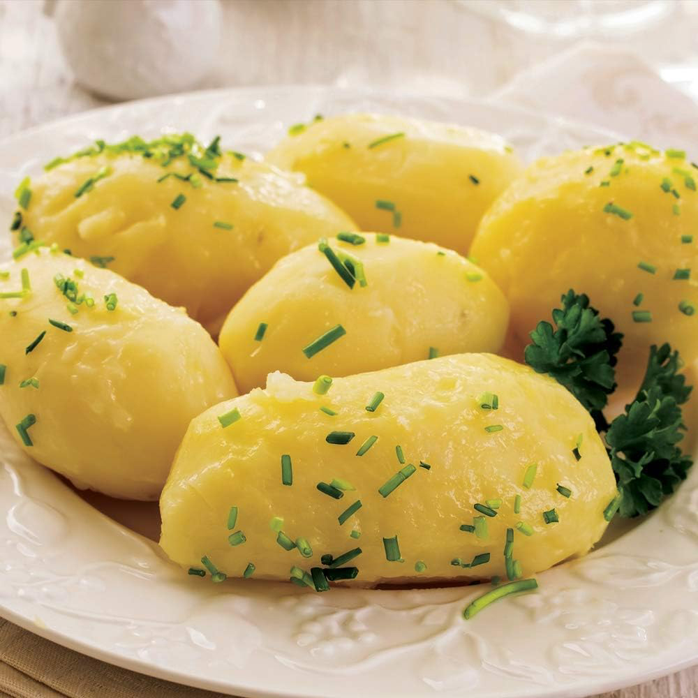 Thompson and Morgan Potato Charlotte 1kg Image 2
