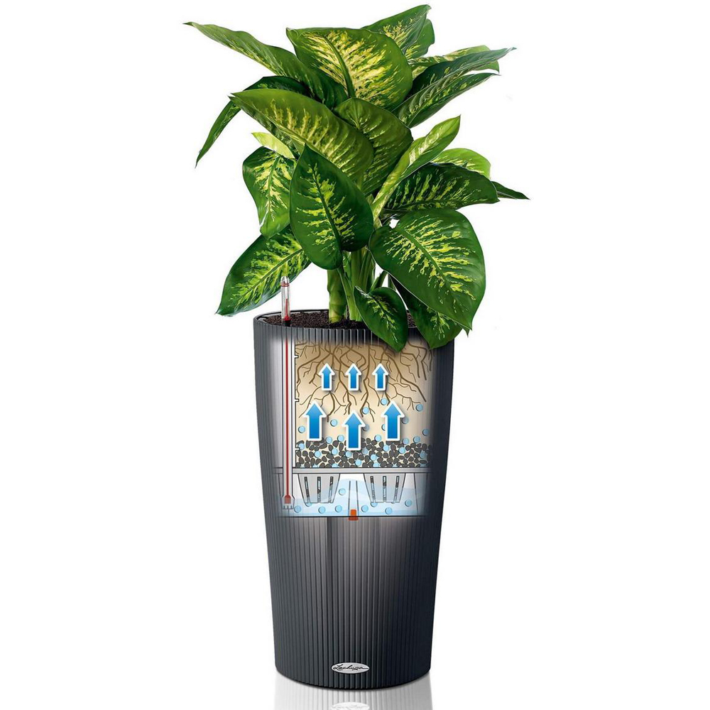 Lechuza Cilindro Sand Brown Polyresin Self Watering Planter 56cm 2 Pack Image 3