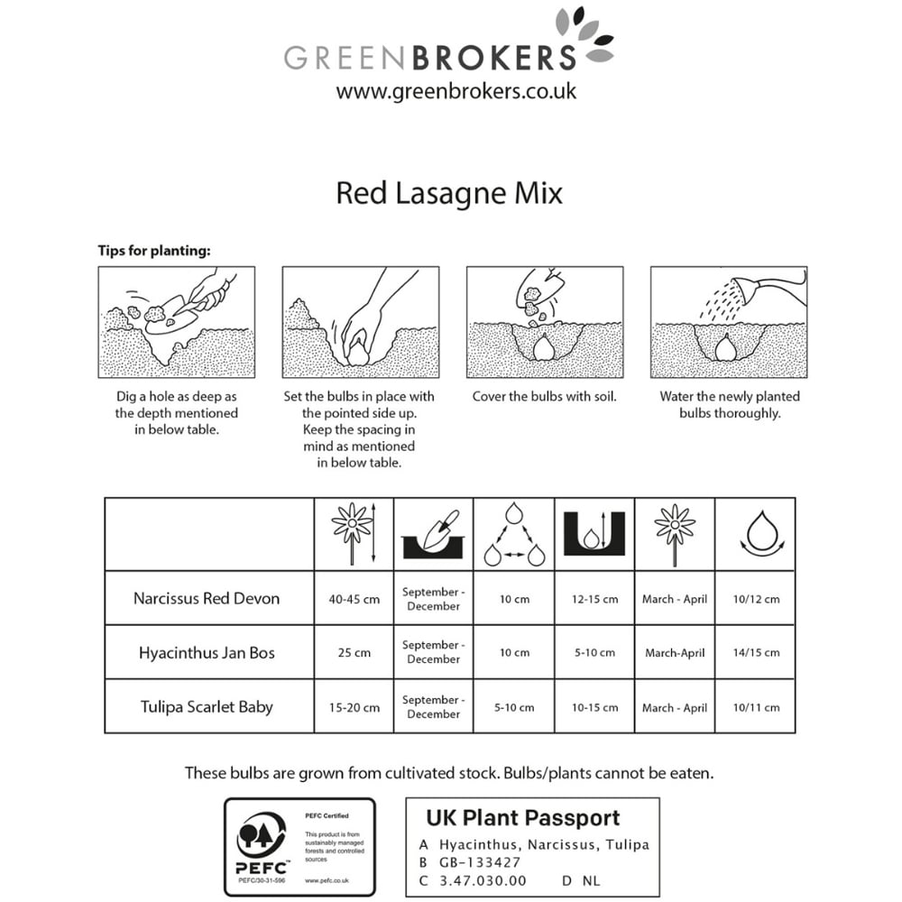 GreenBrokers Red Lasagne Bee Friendly Mixed Spring Planting Bulb 25 Pack Image 3