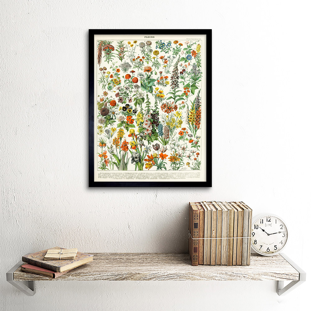 Artery8 Millot Encyclopaedia Page Flowers Plants Framed Wall Art Print 30 x 41cm Image 2