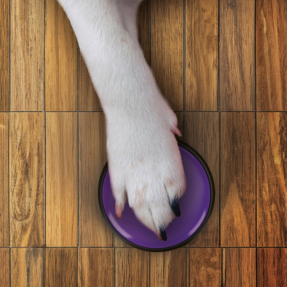 JML Paws2Talk Dog Training Button System Image 7