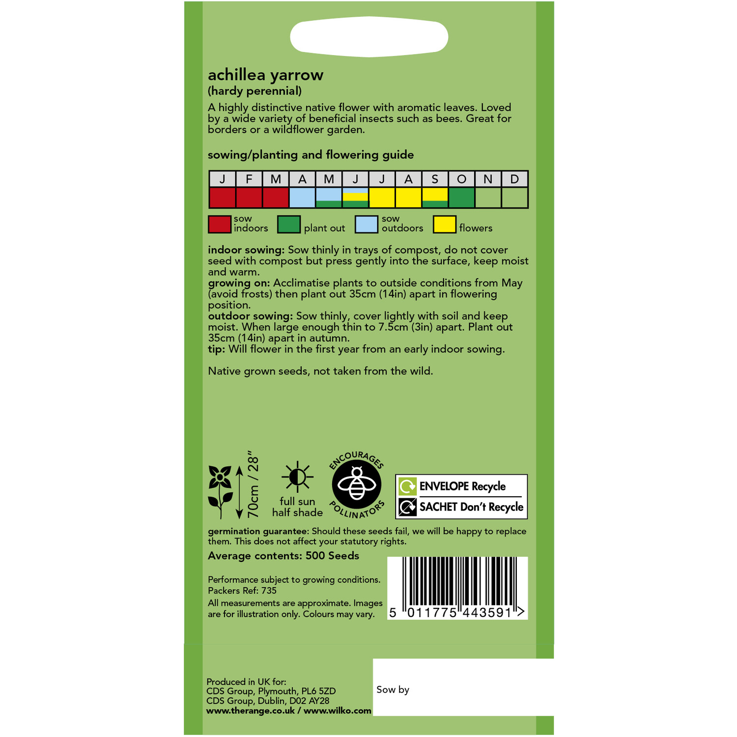 Wilko Achillea Yarrow Seeds Image 2