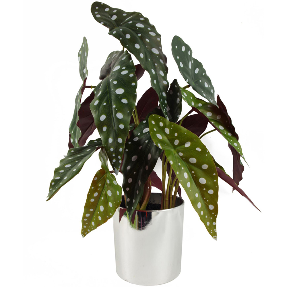 Botanik Begonia Maculata Foliage Artificial Plant in Pot 40cm Image 1