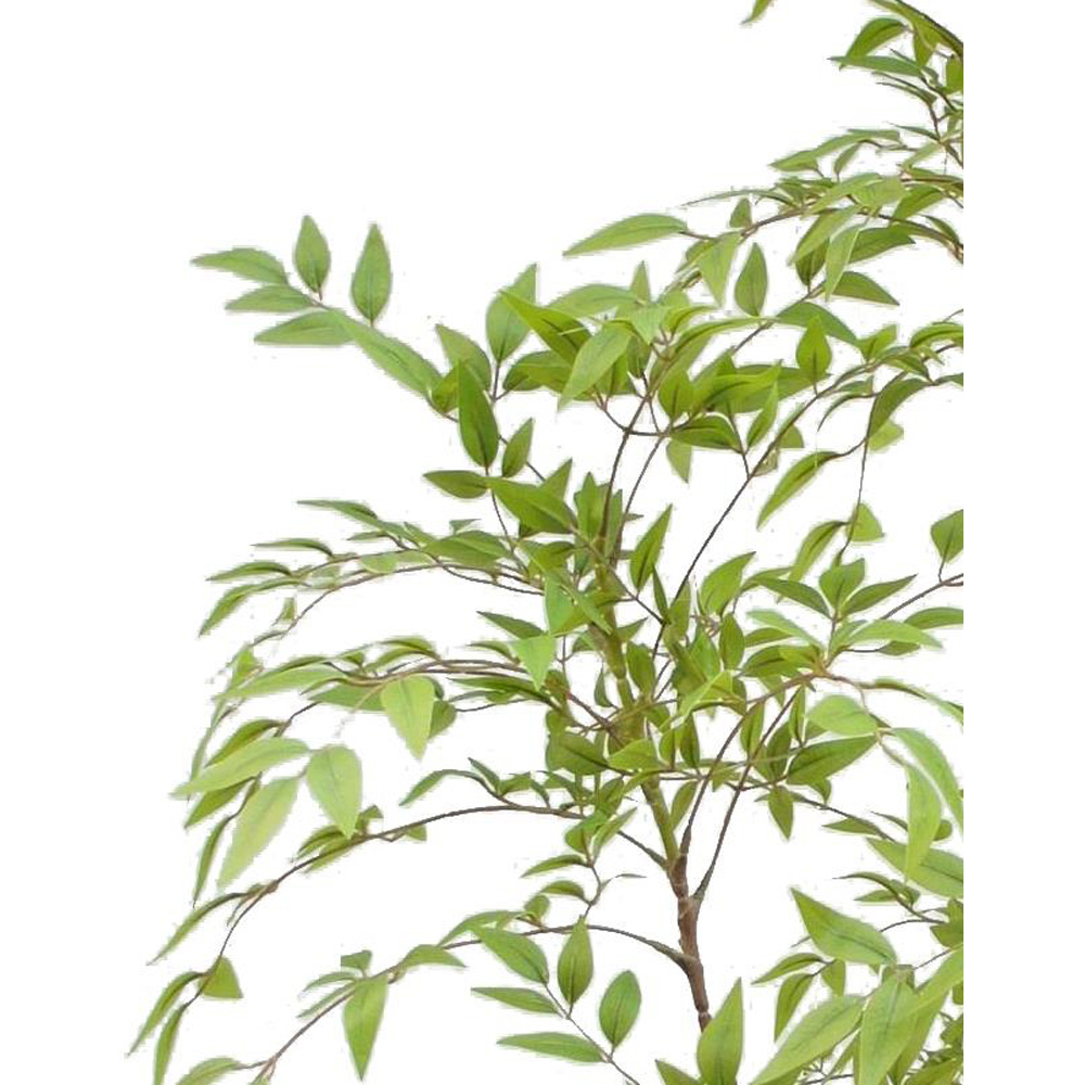 Botanik Nandina Artificial Tree in Pot 5ft Image 2