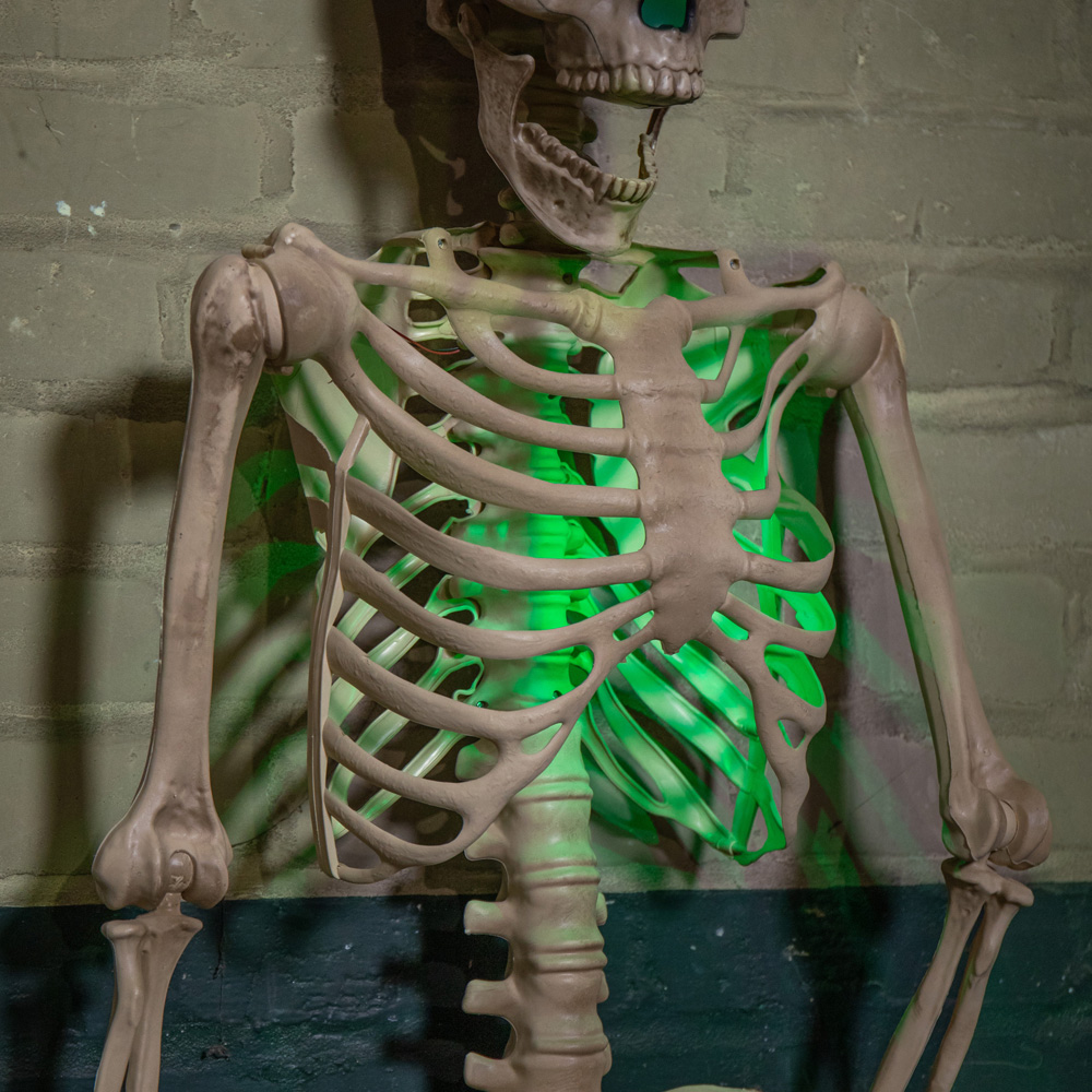 Samuel Alexander Green LED Battery Powered Skeleton Halloween Decoration 5ft Image 5