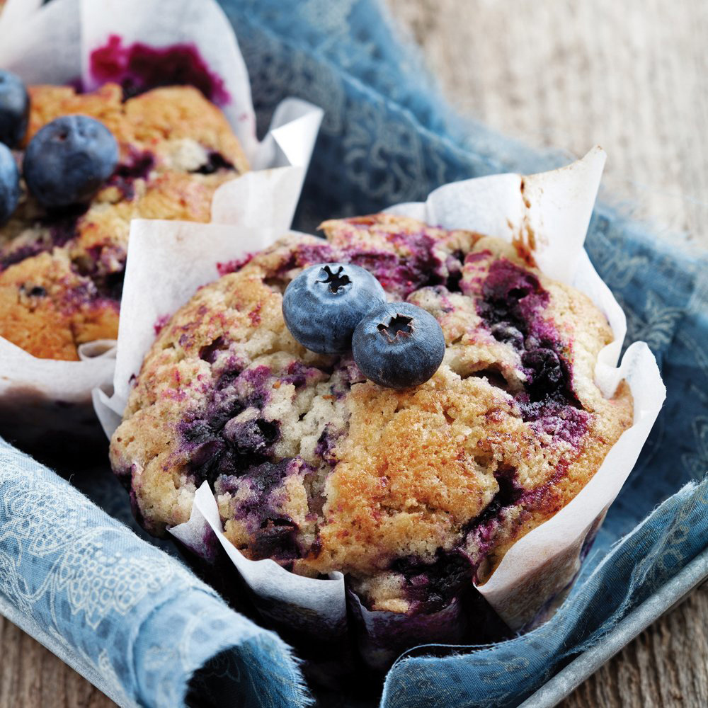 Thompson & Morgan Blueberry Vaccinium Earliblue Potted Plant 3L Image 7