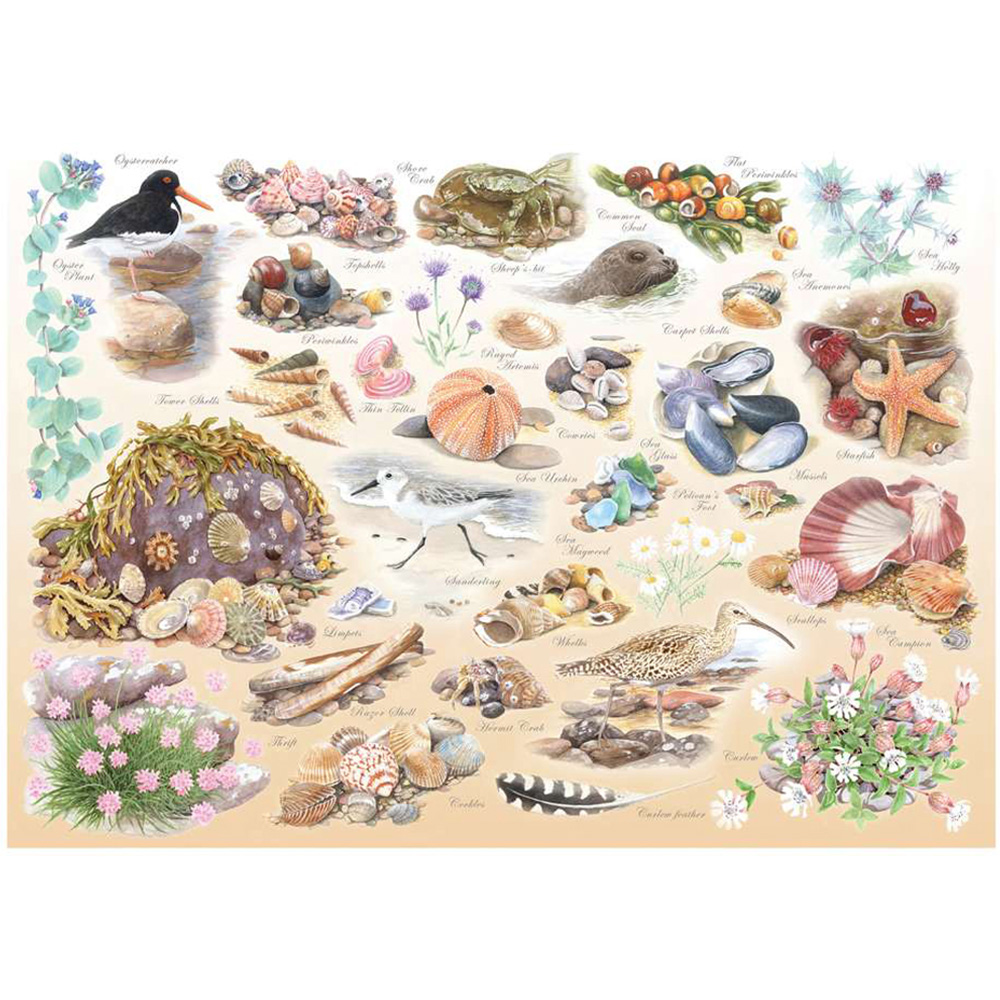 The House of Puzzles Sea Shore 500 Piece Big Jigsaw Puzzle Image 1