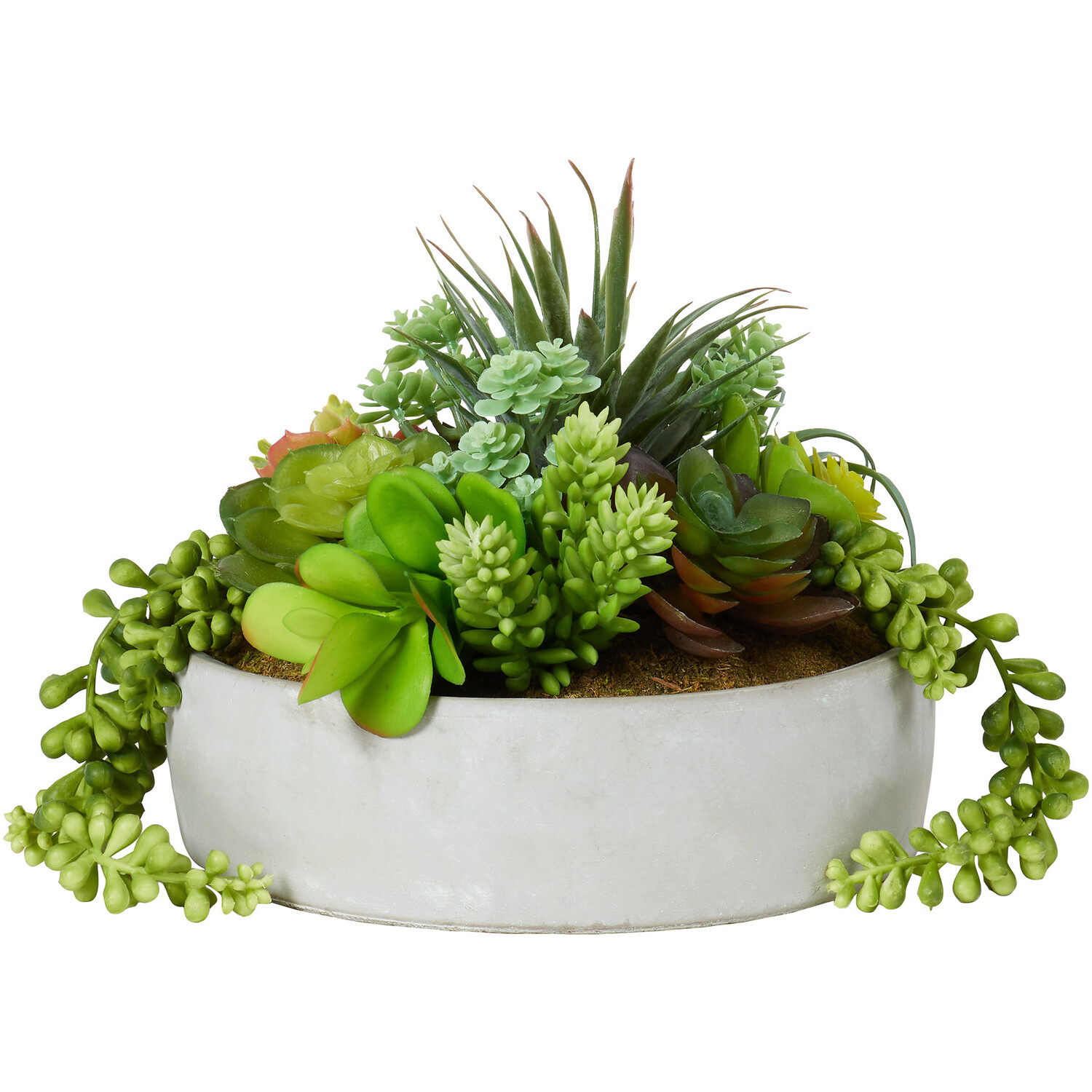 Green Succulent Artificial Plant in Cement Pot Image 1