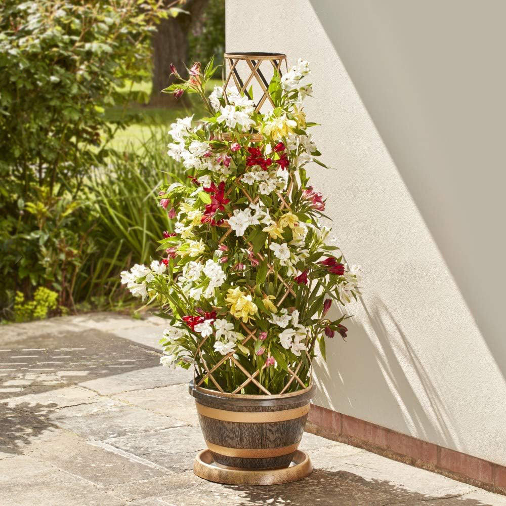 Thompson and Morgan Wooden Barrel Effect Tower Pot 24cm Image 3