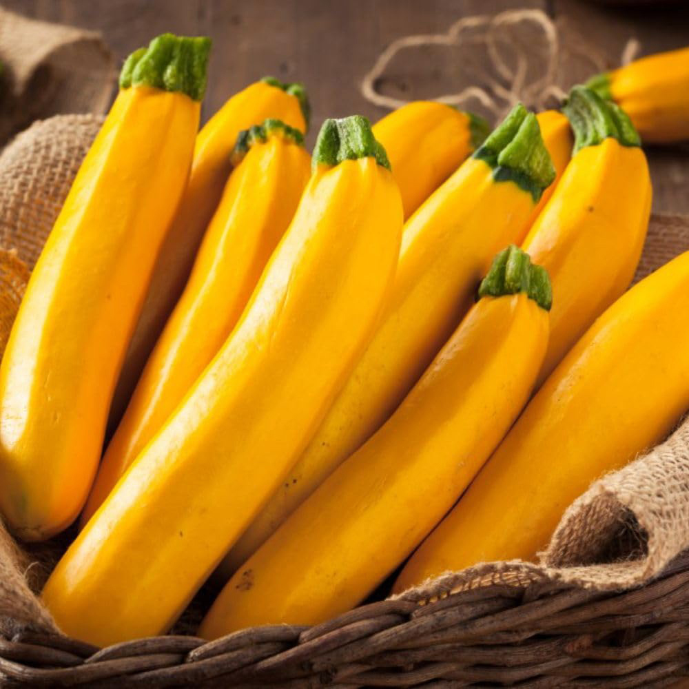 Thompson & Morgan Courgette Lingodor F1 Seeds Image