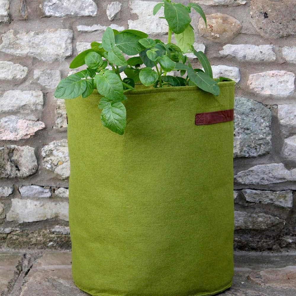 Garden Gear Vigoroot Pot 5L 3 Pack Image 2