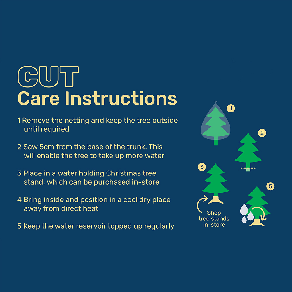 Noble Fir Christmas Tree - 5ft Image 3