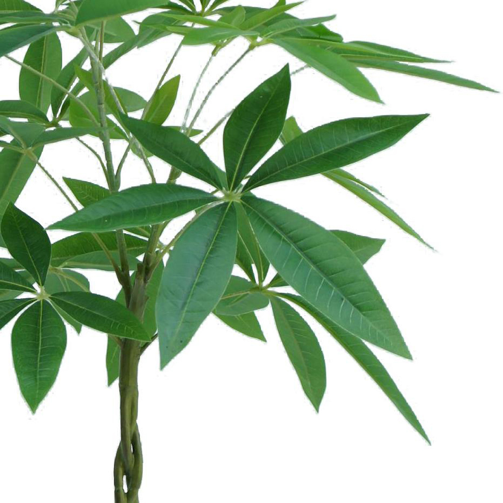 Botanik Pachira Money Tree Artificial Plant in Pot 2ft Image 2
