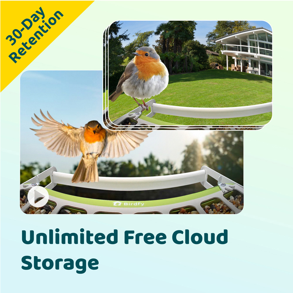 Birdfy Metal Outdoor Smart Bird Feeder with 1080p FHD AI Camera Image 7