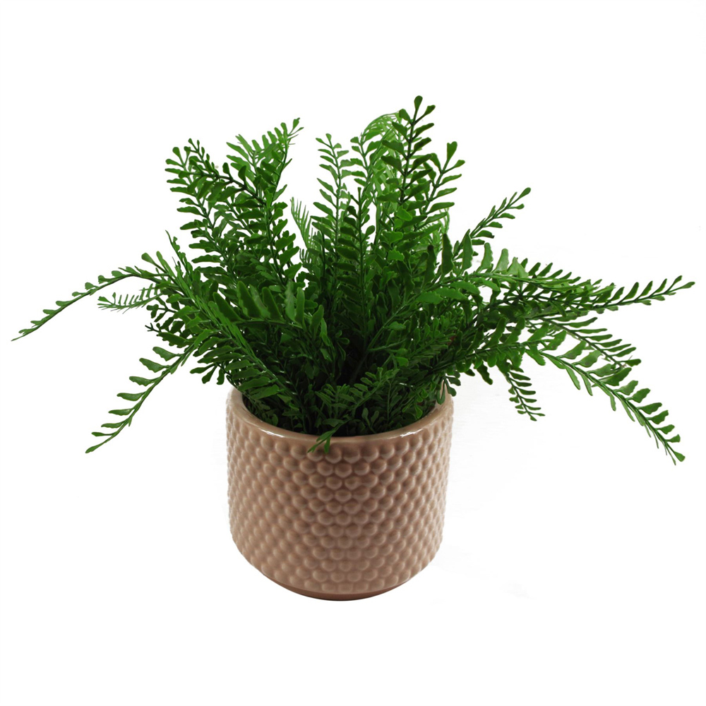 Leaf Dusty Pink Raised Dot Ceramic Plant Pot 15 x 12.5cm Image 3