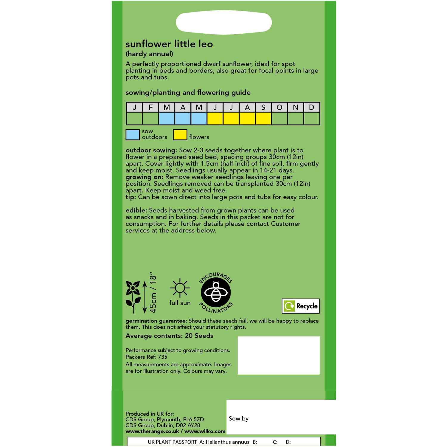 Wilko Sunflower Little Leo Flower Seeds Image 2