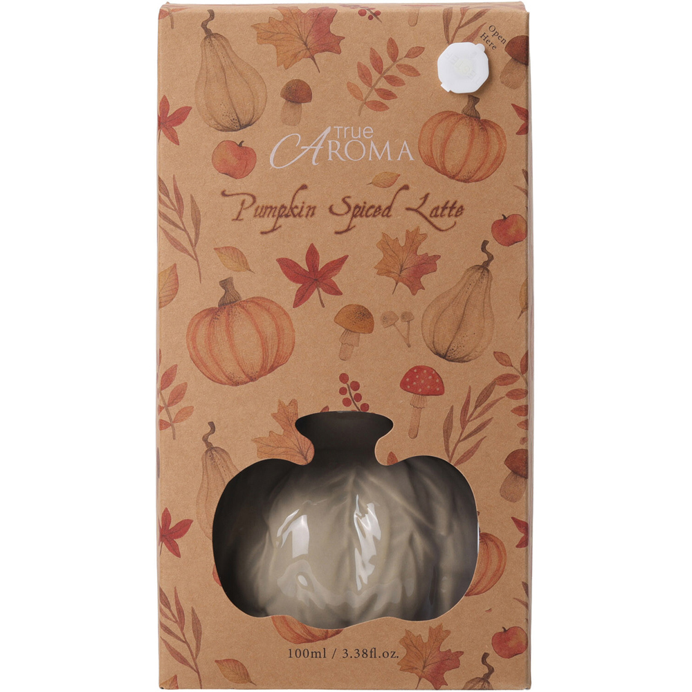Pumpkin Ceramic Diffuser Image 6