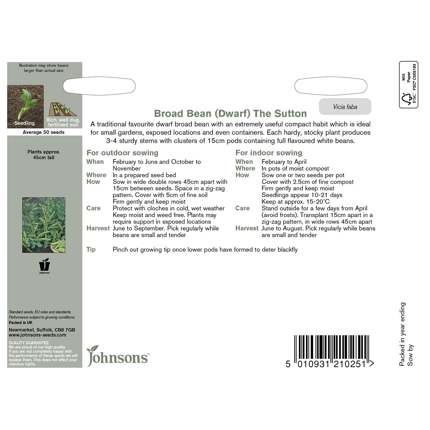Johnsons The Sutton Dwarf Broad Bean Seeds Image 3