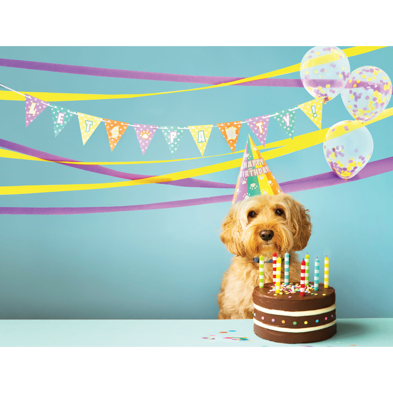 Pet Birthday Party Kit Image