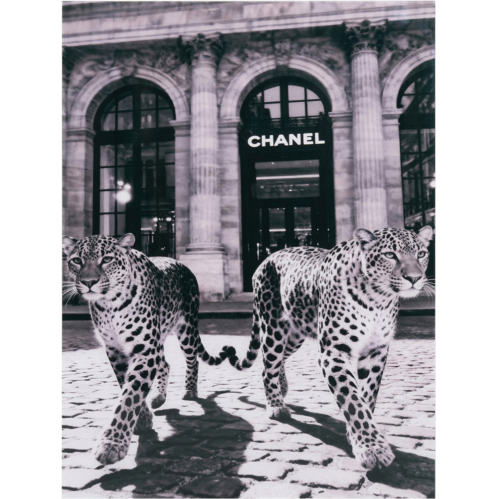 Monochrome Leopards Tempered Glass Art Image 1