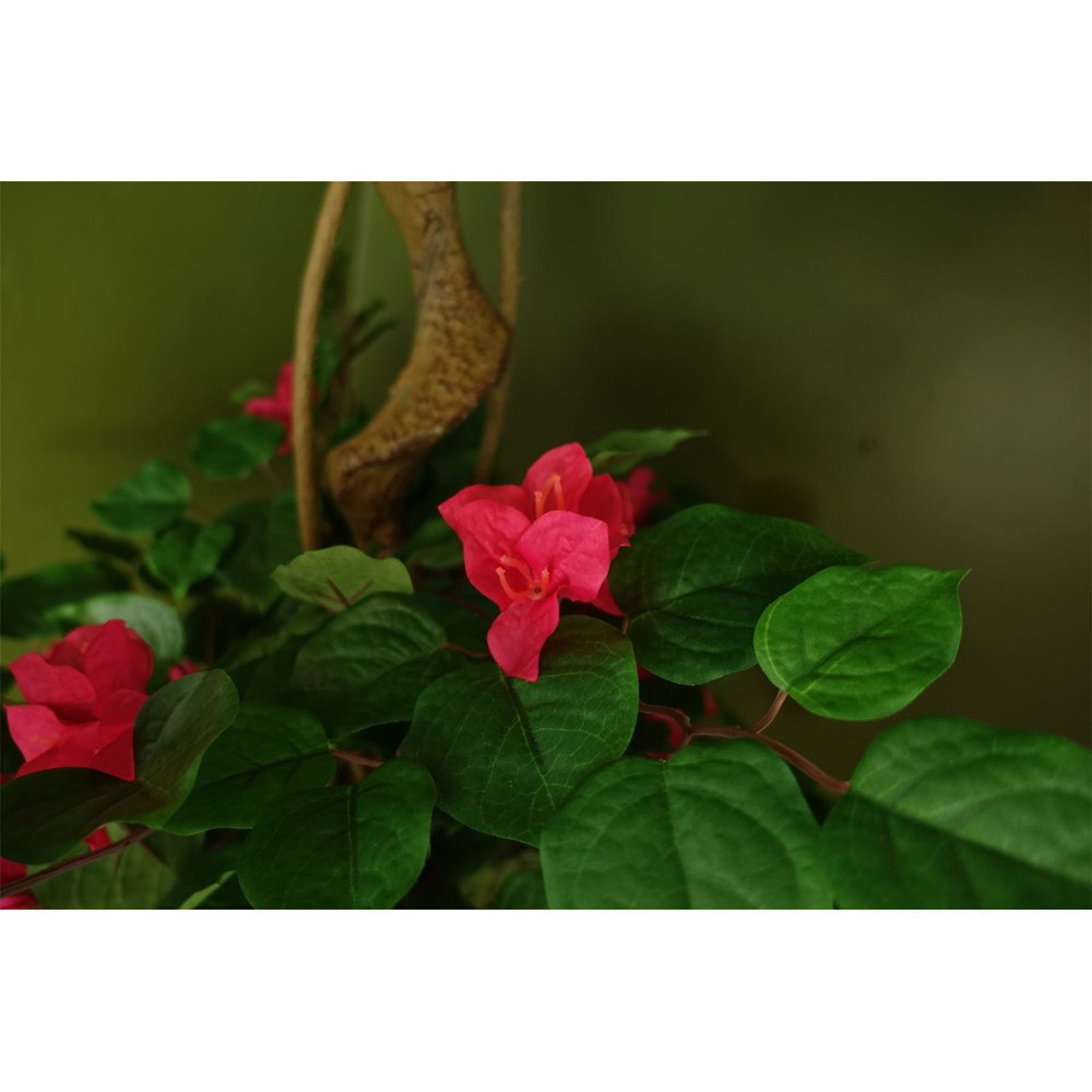 Botanik Japanese Silk Bougainvillaea Artificial Tree in Pot 5ft Image 5