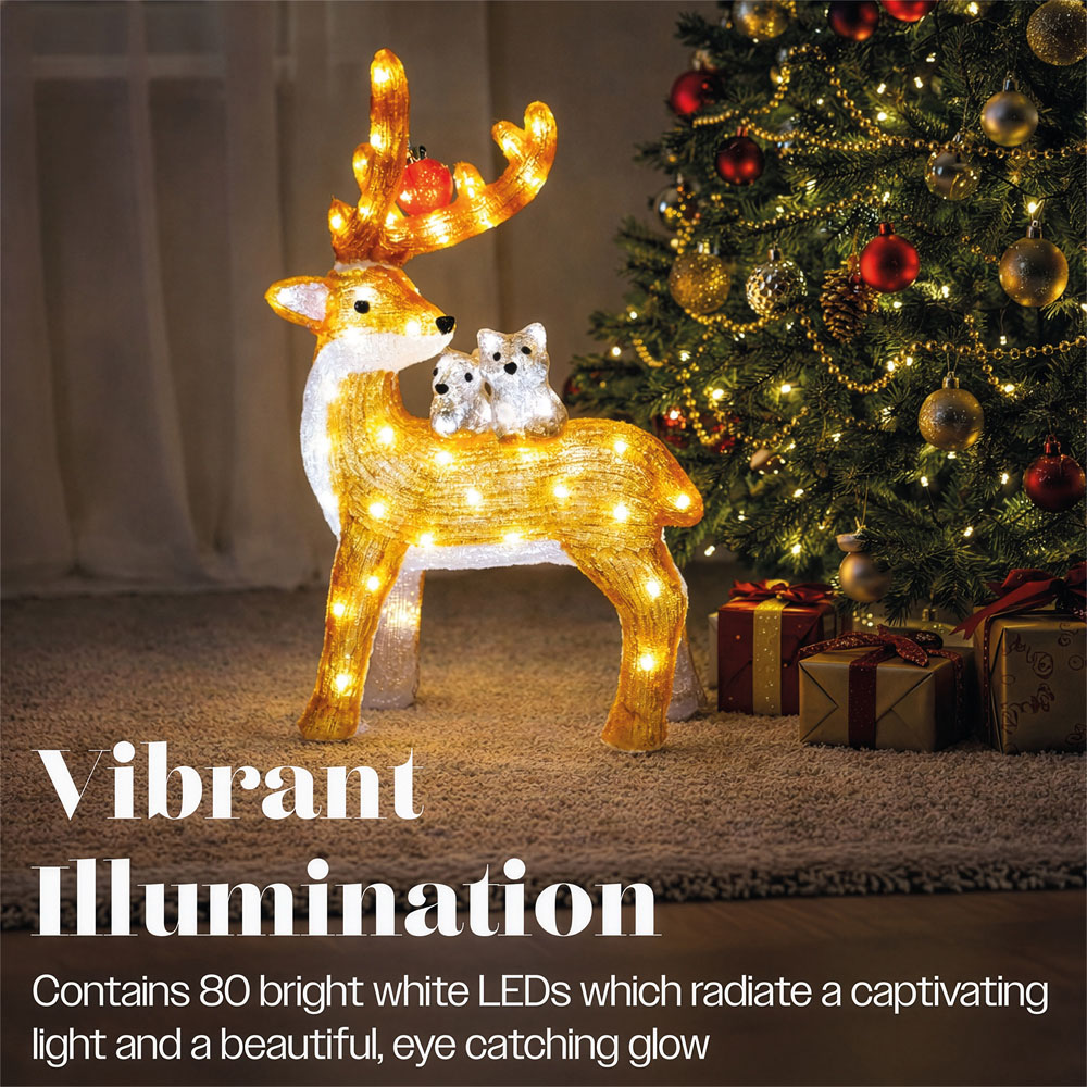 Xmas Haus 80 Bright White LED Acrylic Deer with Bird and Squirrel Christmas Decoration 60cm Image 5