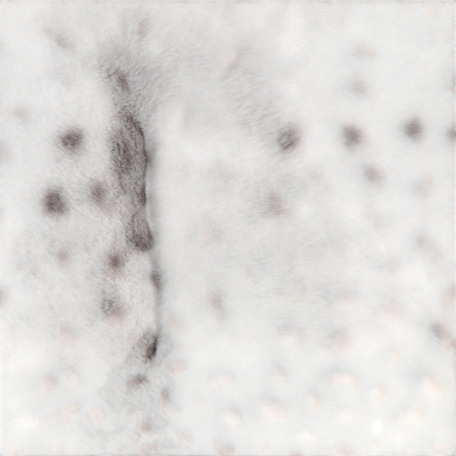 Seal Pup Pet Bed Light Grey Image 4