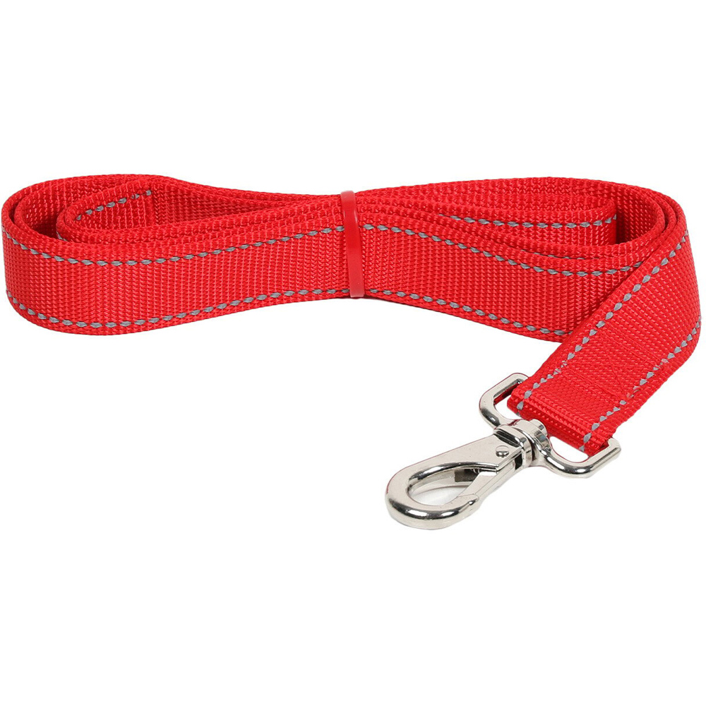 Reflective Nylon Dog Lead - Red / Medium Image