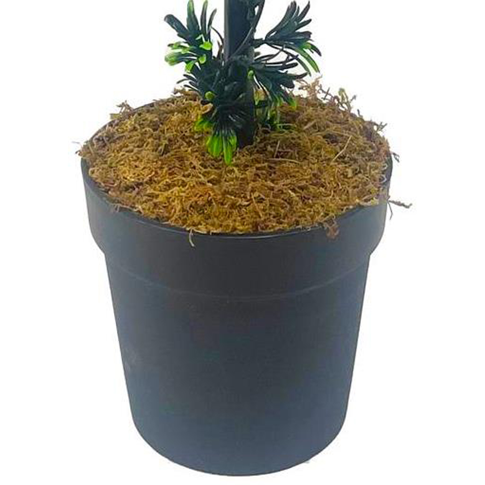 Leaf Podocarpus Double Ball Topiary Artificial Tree Pot 90cm Image 3